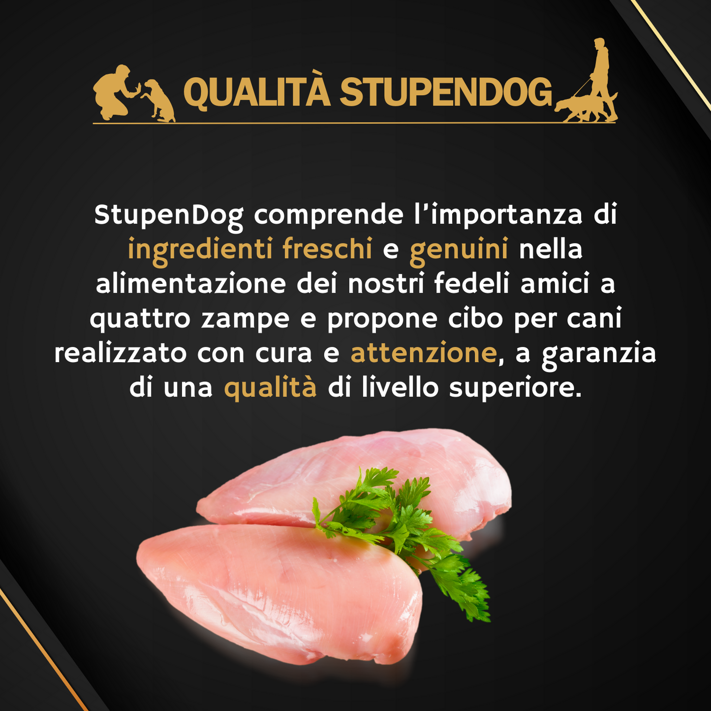 Patè Monoproteico Stupendog Senior Pollo con Orzo e Zucchine 12pz