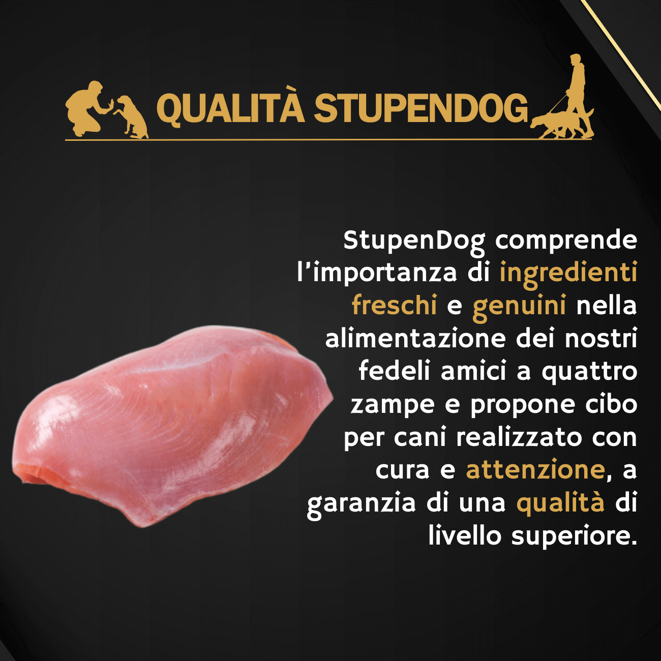 Crocchette Tacchino 15kg StupenDog