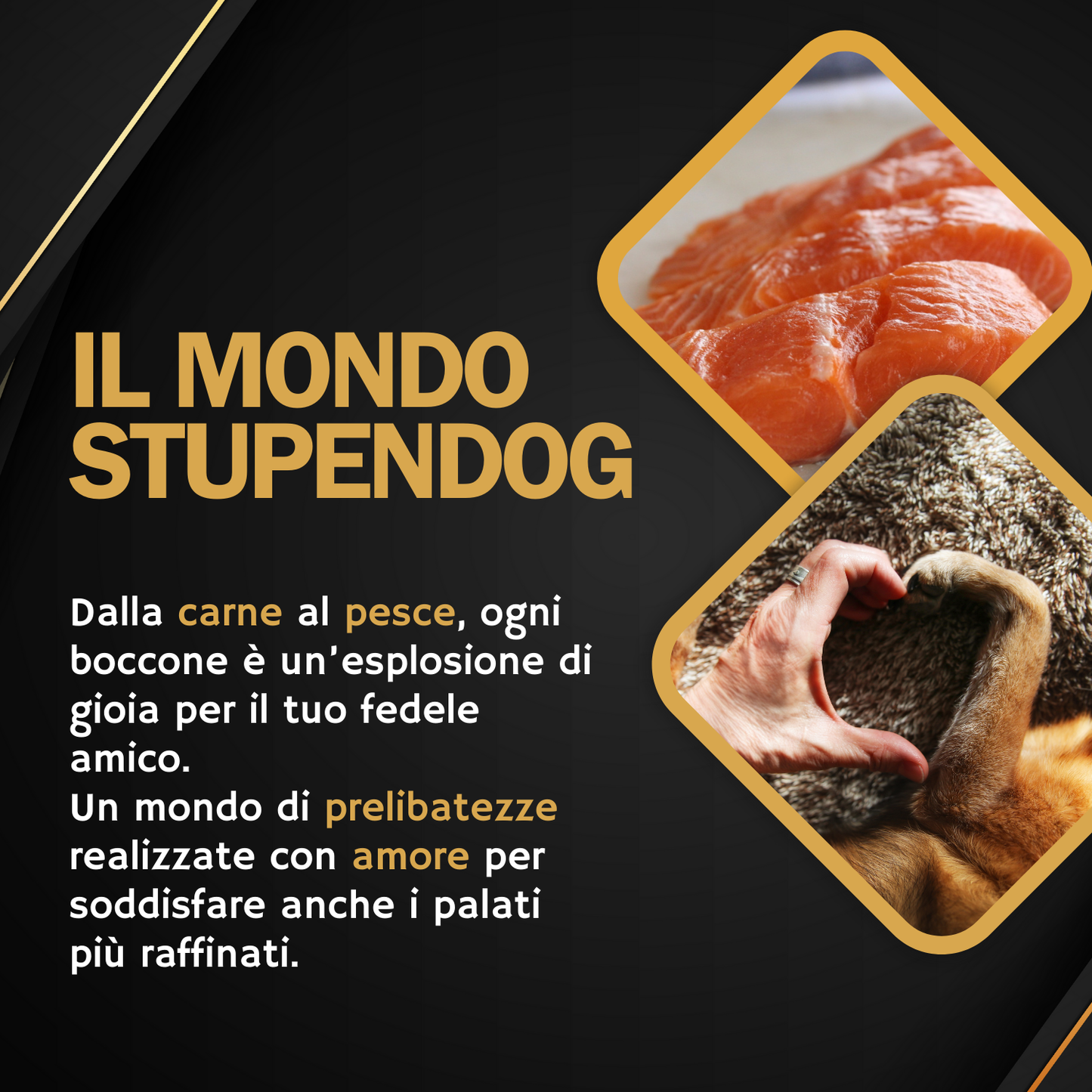 Patè Monoproteico Stupendog salmone con semi di lino per cani 12pz