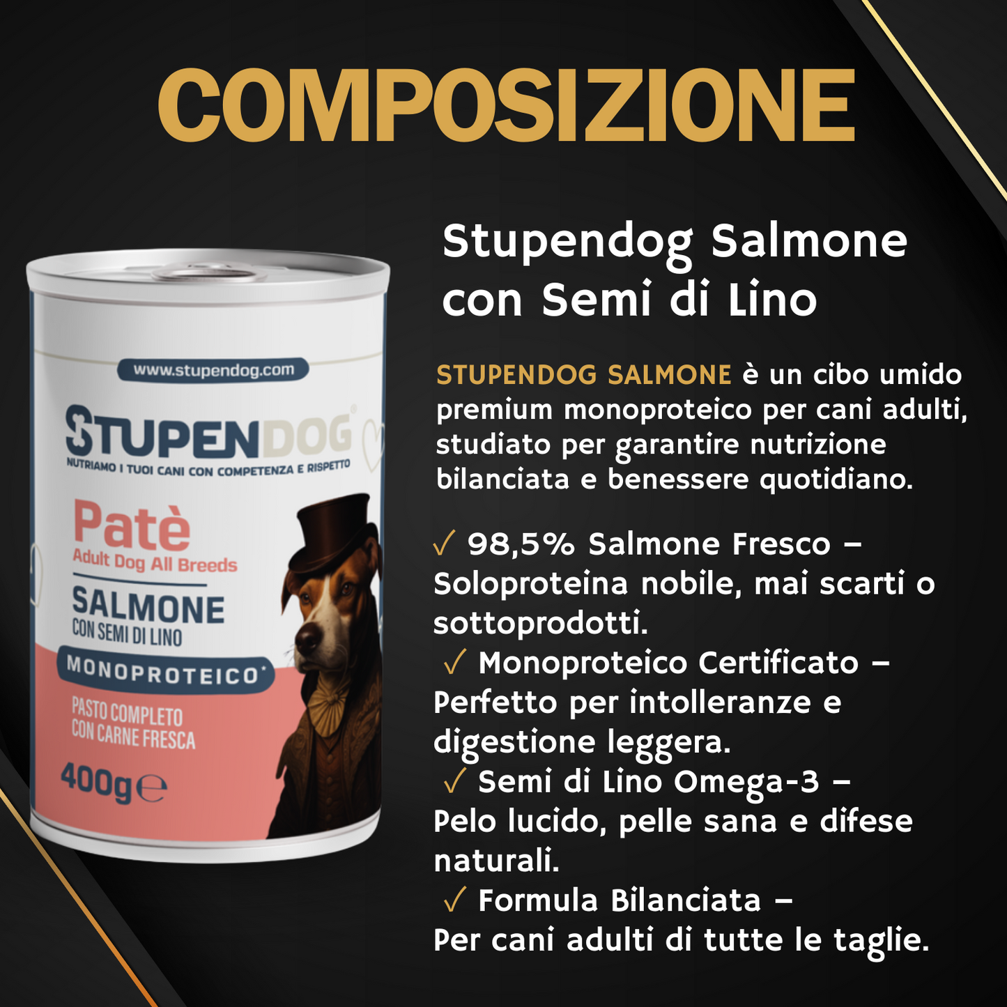 Patè Monoproteico Stupendog salmone con semi di lino per cani 12pz