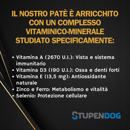 Patè Monoproteico Stupendog salmone con semi di lino per cani 12pz