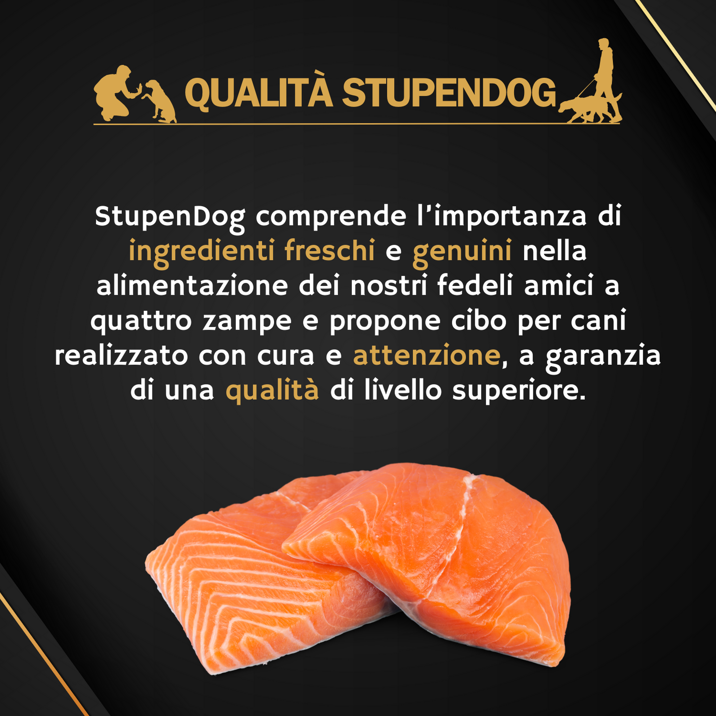 Patè Monoproteico Stupendog salmone con semi di lino per cani 12pz
