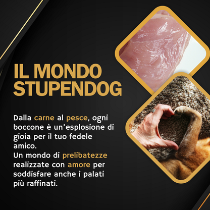 Patè Monoproteico Stupendog Senior Pollo con Orzo e Zucchine 12pz