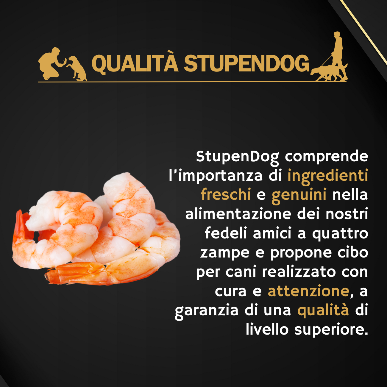 Crocchette Gamberetto 15 kg StupenDog