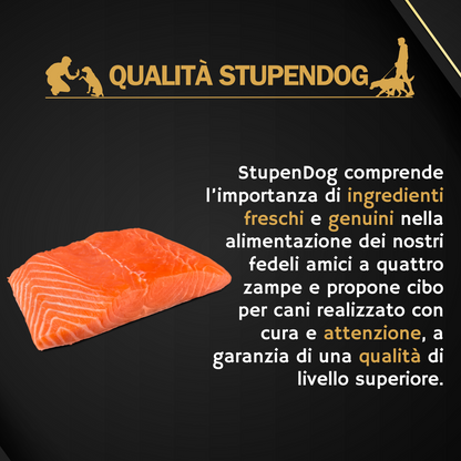 Crocchette Salmone 15 kg StupenDog
