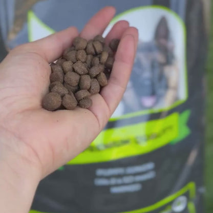 Crocchette Premium Puppy Manzo 15kg StupenDog
