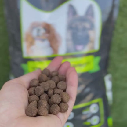 Crocchette Gamberetto 15 kg StupenDog