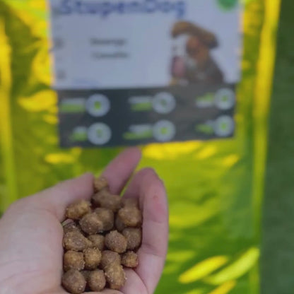 Crocchette Gold Energy Cavallo 20kg StupenDog