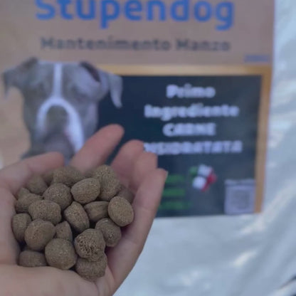 Crocchette Mantenimento Manzo 20kg StupenDog